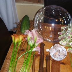 Konen-Zook Wedding 2010